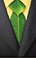 Environment friendly